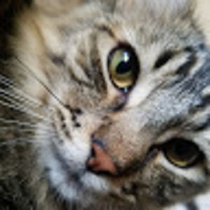 Meet your Posher, Gisela